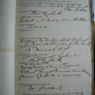 GERTENBACH Jane Curtis born BILLSON - Died 25/03/1891 Age 26y