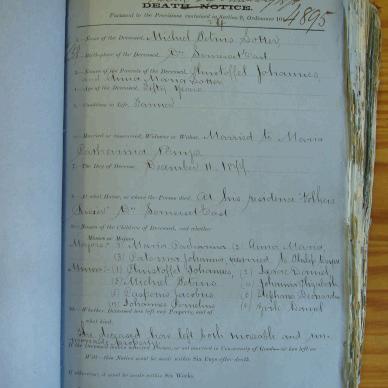 LOTTER Michiel Petrus 1877