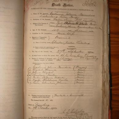 LIEBENBERG Catharina Johanna Barendina nee BURGER, 1902, MOOC 6-9-460, 3662