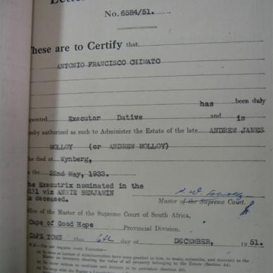 MOLLOY Andrew James - 1951