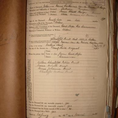 MERWE Johanna Maria Catharina VAN DER nee BURGER, 1928, MOOC 6-9-3308, 18165