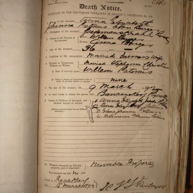 PRETORIUS Anna Elizabeth Johanna nee BURGER, 1893, MOOC 6-9-314, 546