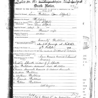 PRETORIUS Lena nee STOFFELS -  Died 9 Oct 1908