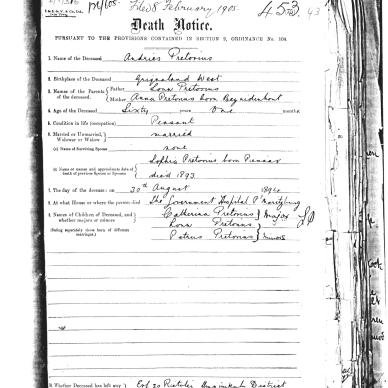 PRETORIUS Andries - Died 30 Aug 1894