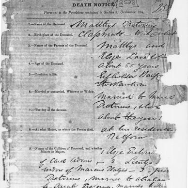 PRETORIUS Matthys - Filed Apr 1866