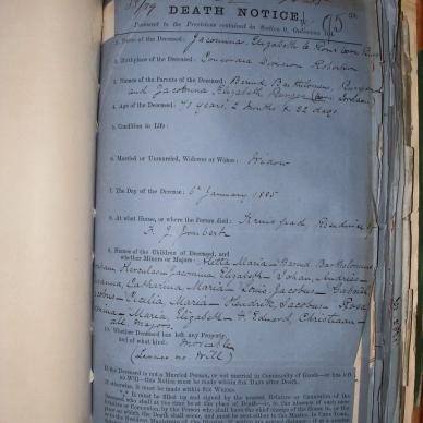 ROUX Jacomina Elizabeth LE nee BURGER, 1885, MOOC 6-9-216, 95