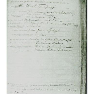 SPRIGG Ellen Eliza born FLEISCHER - died 25 Nov 1900