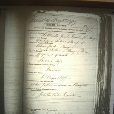 VERSTER Petronella Jacoba nee BURGER, 1877, MOOC 6-9-160, 4366