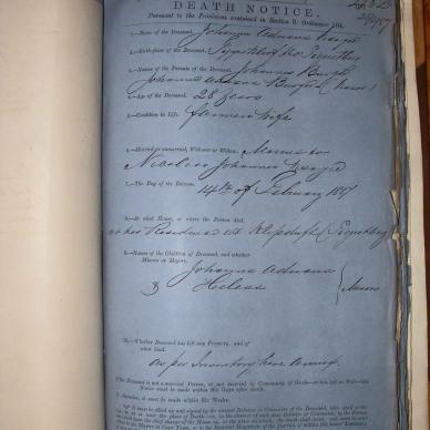 VISAGIE Johanna Adriana nee BURGER, 1887, MOOC 6-9-242, 482