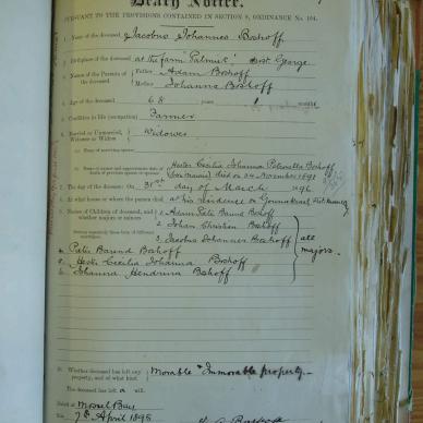 BOSHOFF Jacobus Johannes 1896