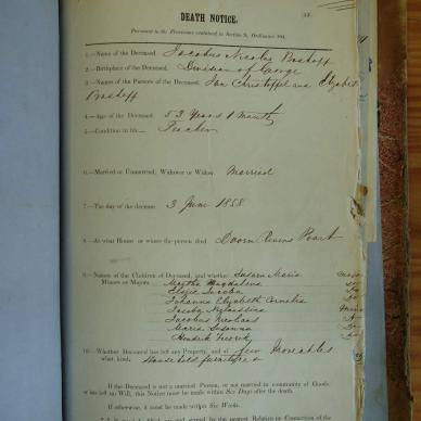 BOSHOFF Jacobus Nicolas 1858