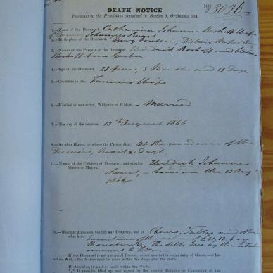 Boshoff, Catharina Johanna 1866