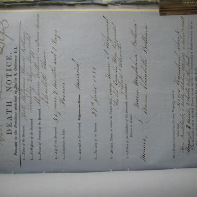 BOTHMA Gert Stephanus Theron - Died 27/06/1881- Age 31y 7m 7d