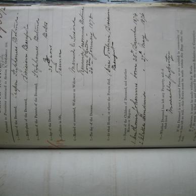 BOTMA Casper Stephanus - Died 24/01/1878 - Age 35