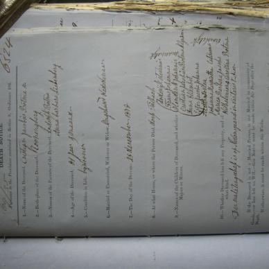 BOTMA Christian Jacobus - Died 28/11/1878 - Age 81y 9m