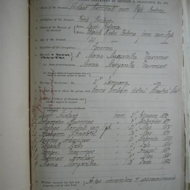 BOTMA Nicolaas Hendrik van Wyk - Died 21/01/1893 - Age 49y 6m