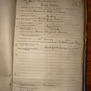 BURGER Hermanus, 1907, MOOC 6-9-566, 663