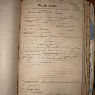BURGER Sarel Jacobus, 1894, MOOC 6-9-327, 797