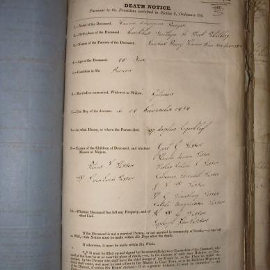 BURGER Hanna Adriana, 1857, MOOC 6-9-80, 4811