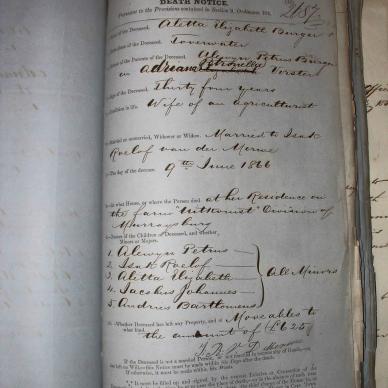 BURGER Aletta Elizabeth getroud VAN DER MERWE, 1866, MOOC 6-9-115, 2687