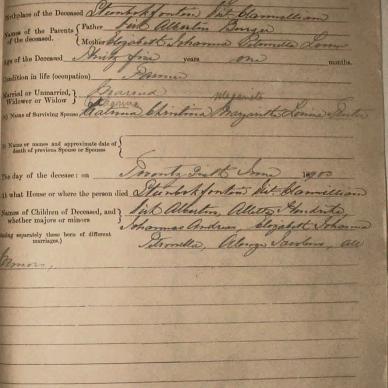 BURGER Alewyn Jacobus, 1903, MOOC 6-9-479, 2403