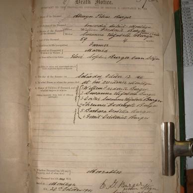 BURGER Alewyn Petrus, 1901, MOOC 6-9-437, 3732