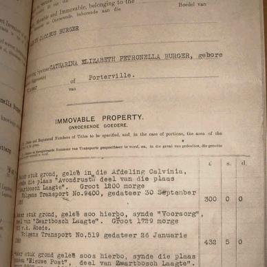 BURGER Alwyn Jacobus, 1943, MOOC 6-9-9800, 83873 (3)
