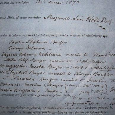 BURGER Alwyn Johannes, 1873, MOOC 6-9-144, 9596 a