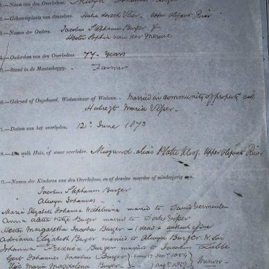 BURGER Alwyn Johannes, 1873, MOOC 6-9-144, 9596