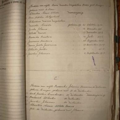 BURGER Christina Gesie Allettha nee HEYDENRYCH, 1920, MOOC 6-9-1784, 2938 (2)
