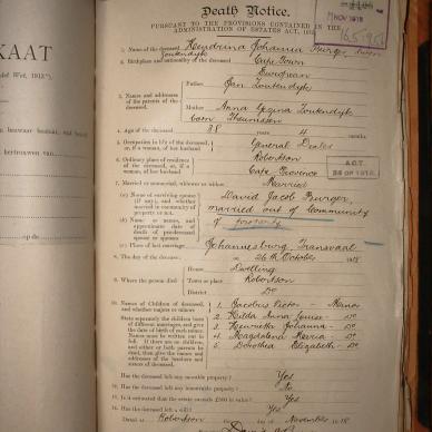 BURGER Hendrina Johanna nee ZOUTENDYK, 1918, MOOC 6-9-1245, 4128