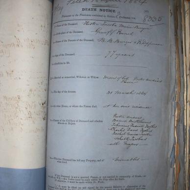 BURGER Hester Jacoba Maria wed. THERON, 1884, MOOC 6-9-207, 8335