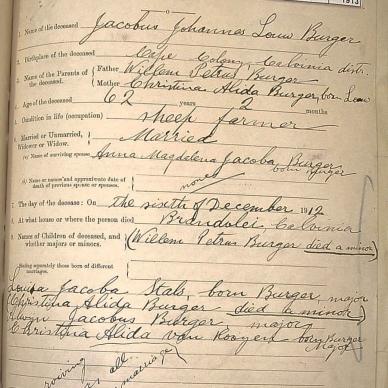 BURGER Jacobus Johannes Louw, 1913, MOOC 6-9-708, 291