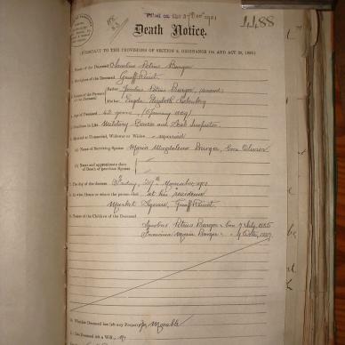 BURGER Jacobus Petrus, 1901, MOOC 6-9-441, 4488