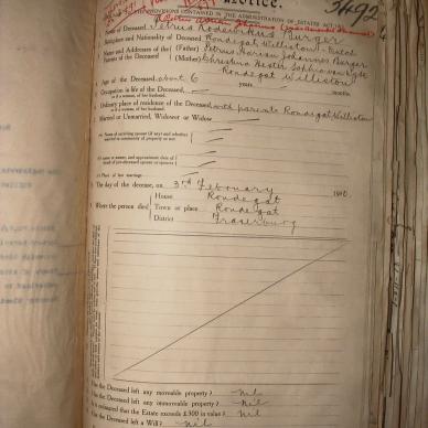 BURGER Petrus Adriaan Johannes, 1913, MOOC 6-9-734, 3492