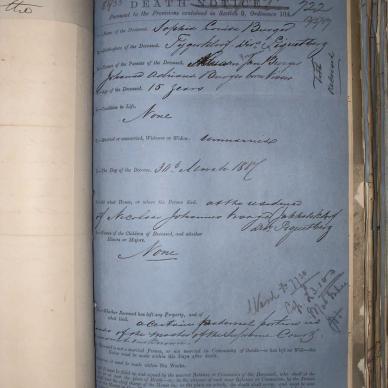 BURGER Sophia Louisa, 1887, MOOC 6-9-244, 722