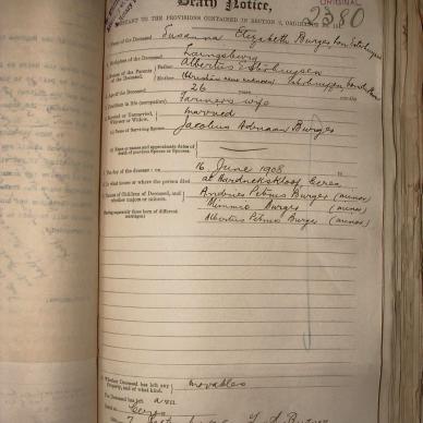 BURGER Susanna Elizabeth nee ESTERHUYSEN, 1908, MOOC 6-9-602, 2380