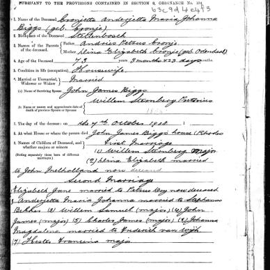 BIGGS Cronjetta Anderjetta Maria Johanna formerly PRETORIUS born CRONJE - Died 7 Oct 1908