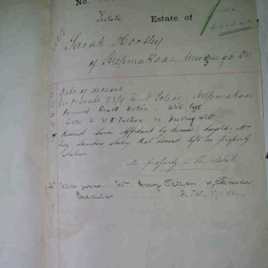 MSCE 26-158 van 1906 Horsley Sarah [01]