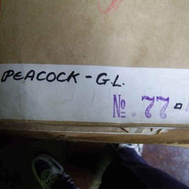 MSCE 77-1947 PEACOCK G L [00]