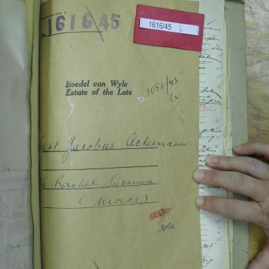 SDC19825