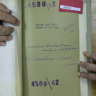 SDC19718