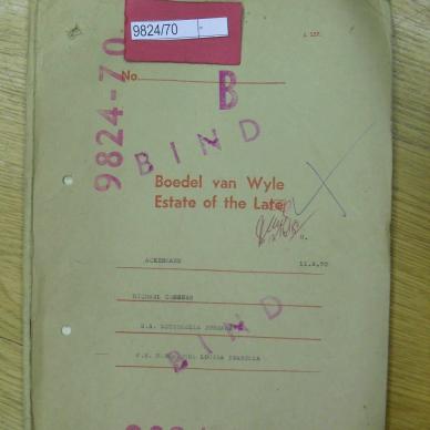 SDC19398