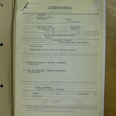 SDC19399