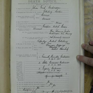 ANDERSSON Johan Ernst - died 24 Jun 1920