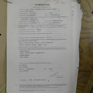 SDC10521