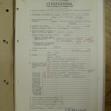 SDC12487