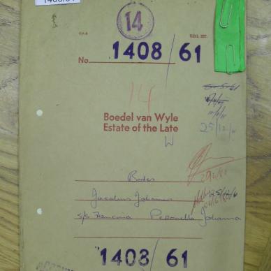 SDC10307