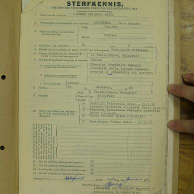 SDC10308