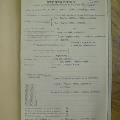 SDC10104